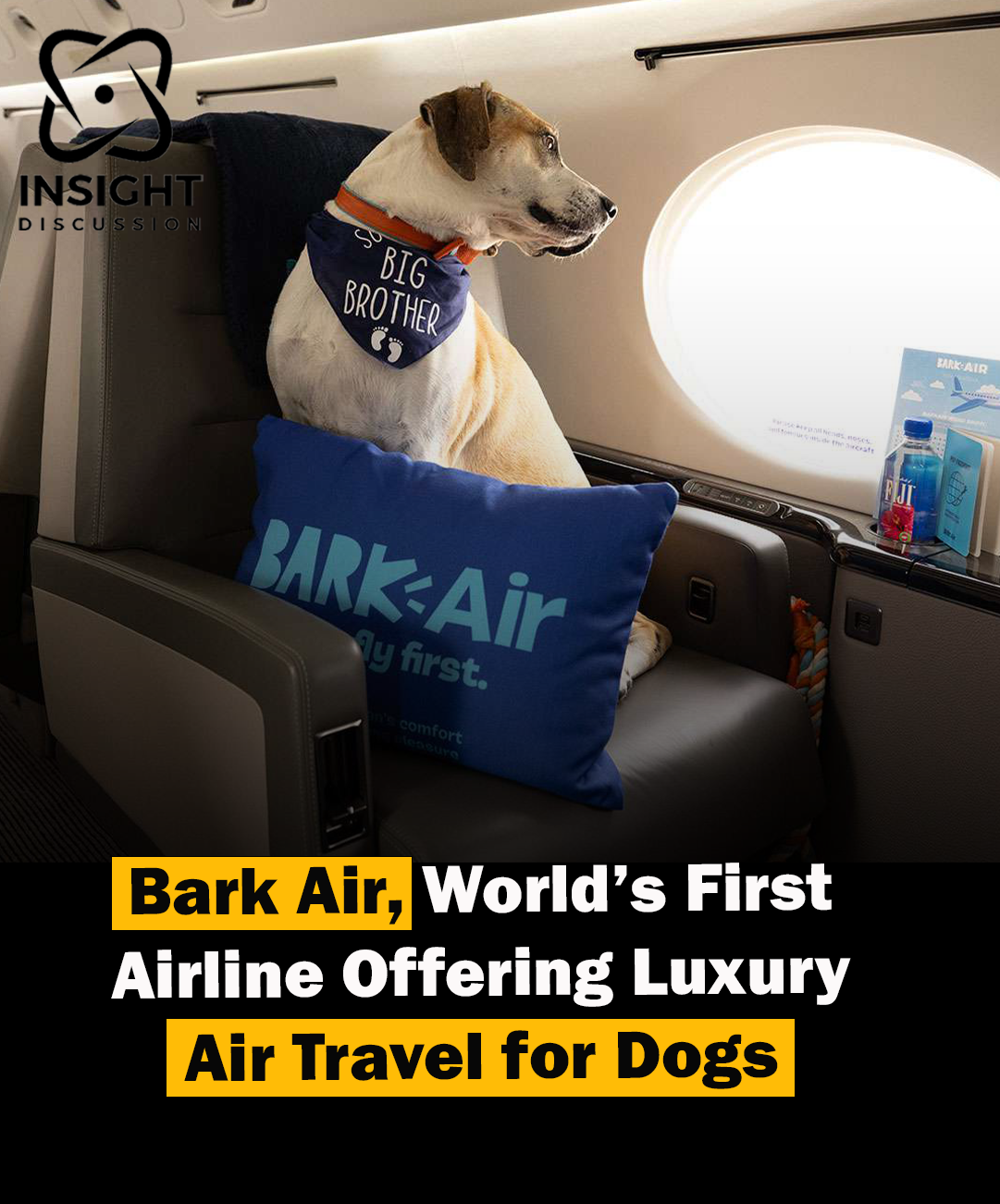 BARK Air Luxury Jet Charter Service for Dogs and Their Owners Takes Flight