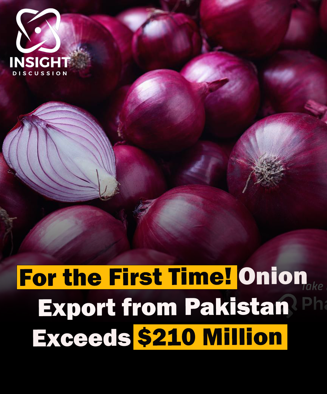 Pakistan's Onion Exports Reach Historic $210 Million Milestone Amidst New Market Opportunities