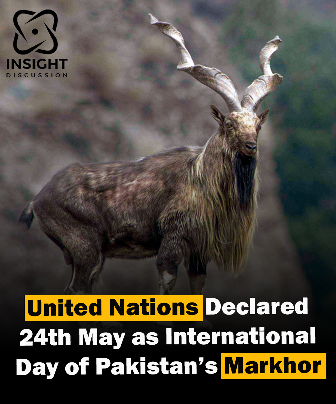 UNGA Declares May 24 as International Day of the Markhor A Milestone for Conservation and Global Awareness