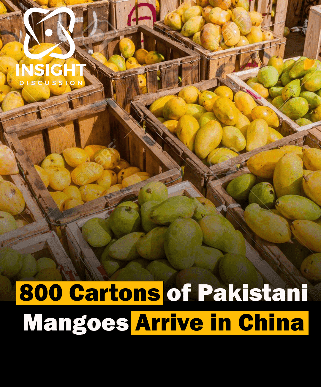 Pakistani Mangoes Make Their Way to Chinese Markets with Cutting-Edge Preservation