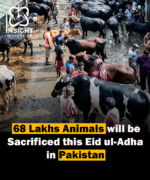 Eid ul Adha Celebrations: 6.8 Million Animals Sacrificed Worldwide Amidst Changing Economic Trends