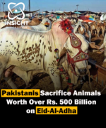 Eid ul Adha Sacrifices in Pakistan 680,000 Animals Worth Rs500 Billion, Leather Industry Faces Shortfall Due to Heat and Handling Issues