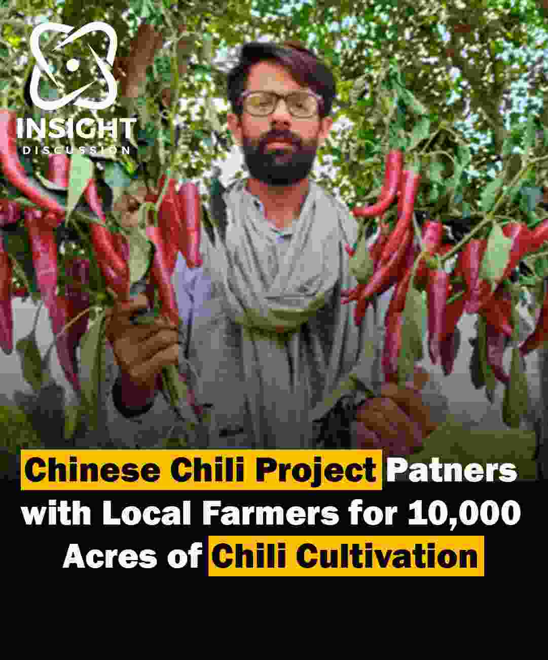 China-Pakistan Chili Collaboration Boosting Agricultural Innovation and Export Potential