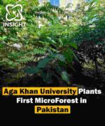 Aga Khan University Plants First Microforest in Pakistan to Combat Climate Change and Promote Biodiversity