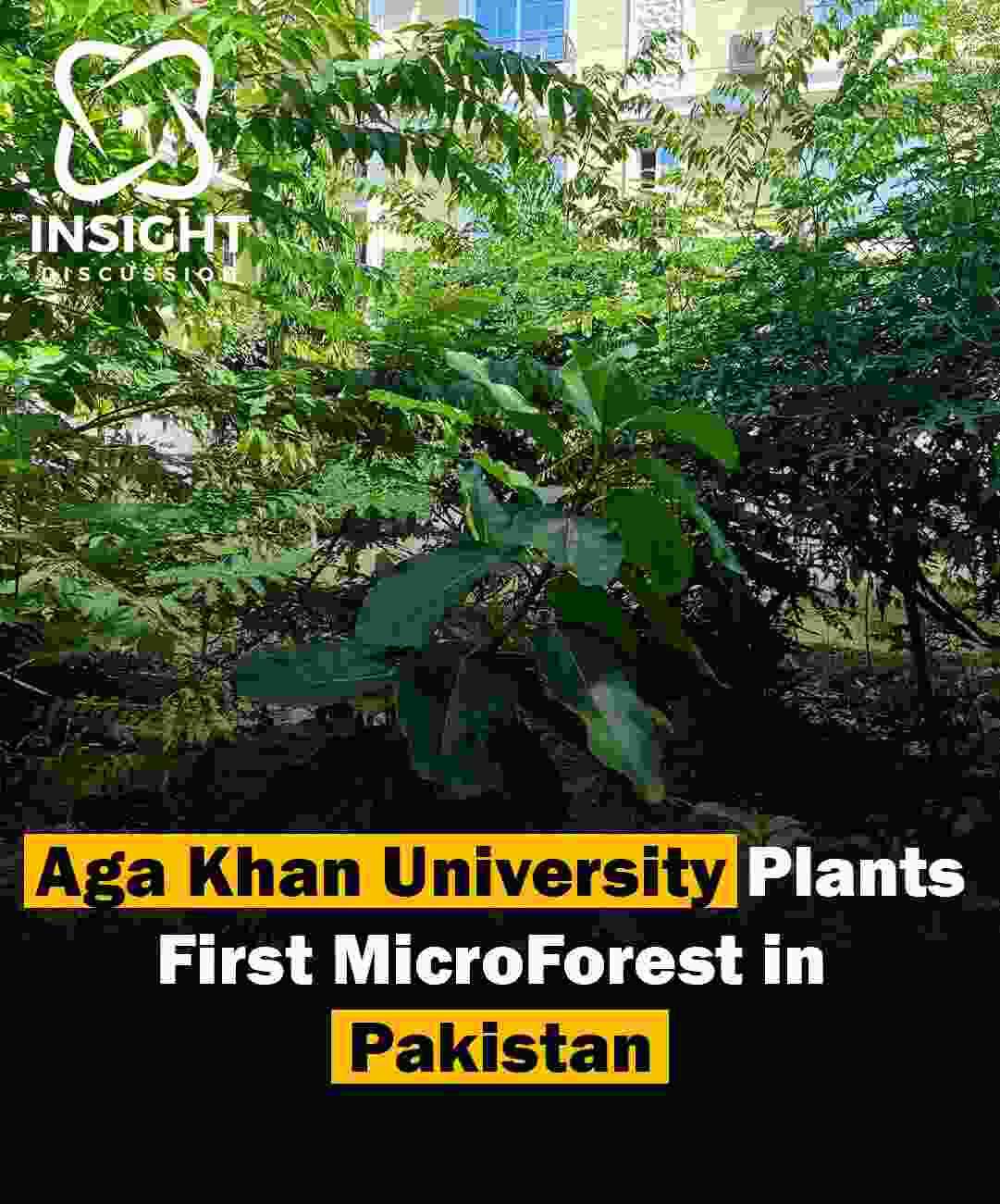 Aga Khan University Plants First Microforest in Pakistan to Combat Climate Change and Promote Biodiversity